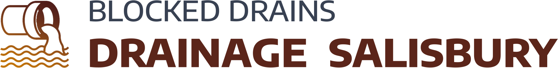 website logo